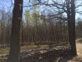 Espace de prière en forêt de Meudon