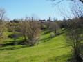 Espinas