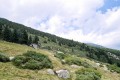 Estive de La Devèsa de Vallbona
