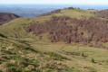 Crête de Cournudère ou Cornudère ou Cap des Teches