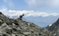 Étagne du massif de Belledonne Étagne du massif de Belledonne