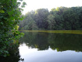 Tour de Dworp par le Bois de Hal