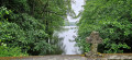 Etang (2)