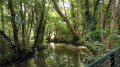 Etang au Moulin de Charlot
