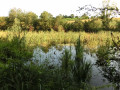 Étang au point N° 2