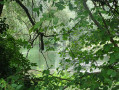 Etang avant le collège