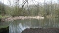 Etang Beauclair