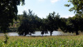 Etang Cholley Etang Cholley