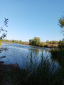 Le Lac Canetti (Étang Colbert) et le Lac de Baladune Le Lac Canetti (Étang Colbert) et le Lac de Baladune