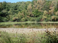 Etang Coquet