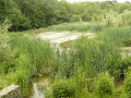 Etang d'Abbecourt