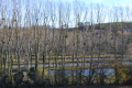 Etang d'Arpieux