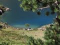 Artax Pond