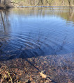 Etang d'Erbsenweiher