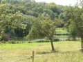 Dans la Forêt des Moines