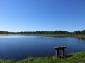 A travers bois, prairies et champs à Sainte-Gemme