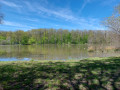 Forêt de Rambouillet et ses étangs au départ de la Grande Hogue