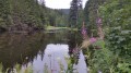 Etang de Belbriette