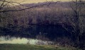 Etang de Bellefontaine
