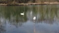 Etang de Blénod Etang de Blénod
