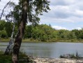 Etang de Bressieux