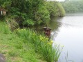 Les eaux dormantes de Marcilly-en-Gault