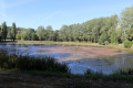 Etang de Fléré-La-Rivière