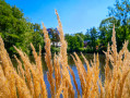 Etang de Géronsart Etang de Géronsart