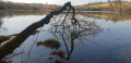 Etang de Gillieu