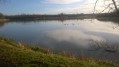 Etang de Gondrexange