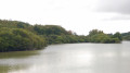 Etang de Hollande