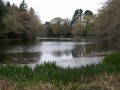 Etang de Kerbernez