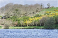 Etang de Kerescar Etang de Kerescar