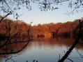 Etang de l'Auneau
