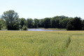 Etang de la Bannotterie