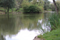 Etang de la Bouille