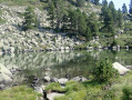 Etang de la Camisette