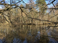 Etang de la Comtesse