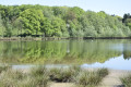 Etang de la courbe chauss&eacute;e