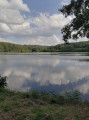 Etang de la Creuse