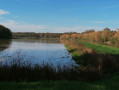 étang de la Dombes