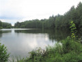 Etang de la forge