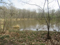 Etang de la Fosse aux Loups