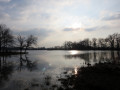 Etang de la Garde près d'Arthon