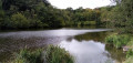 Quatre étangs dans le Sud de la Forêt de Meudon