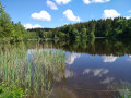 Etang de la molière Etang de la molière