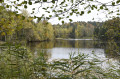 Etang de la Mollière Etang de la Mollière