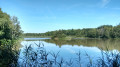 Etang de la Neuville
