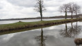 Etang de la Noue Mazone et canal d'Orléans