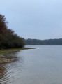 Rigoles, étangs et forêt autour de Vieilles-Maisons-sur-Joudry